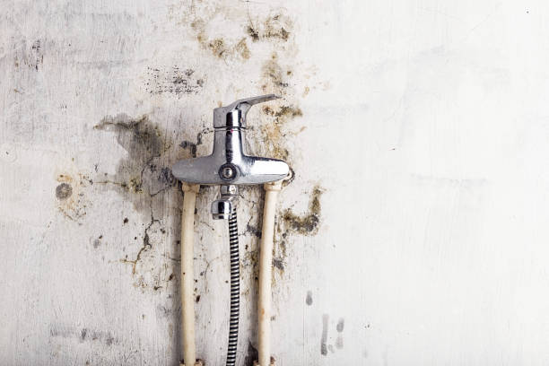 Best Mold Cleaning Services  in Redstone Arsen, AL