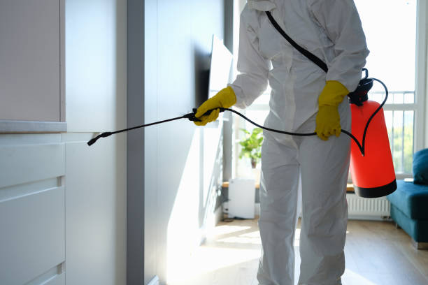 Home Mold Removal in Redstone Arsenal, AL