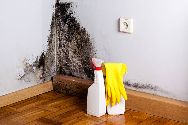 Best Certified Mold Removal  in Redstone Arsen, AL