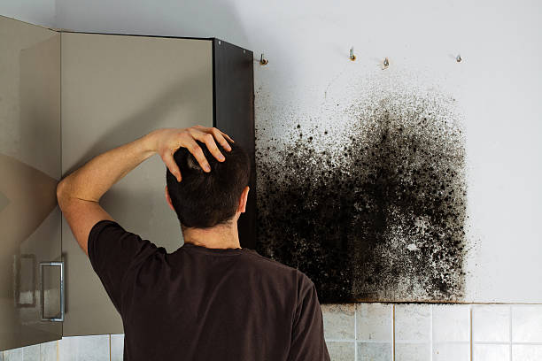 Best Mold Testing  in Redstone Arsen, AL